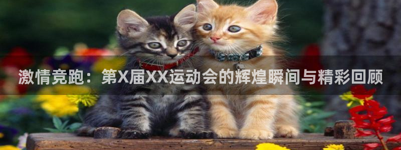 尊龙官方正版app娱乐下载：激情竞跑：第X届XX运动