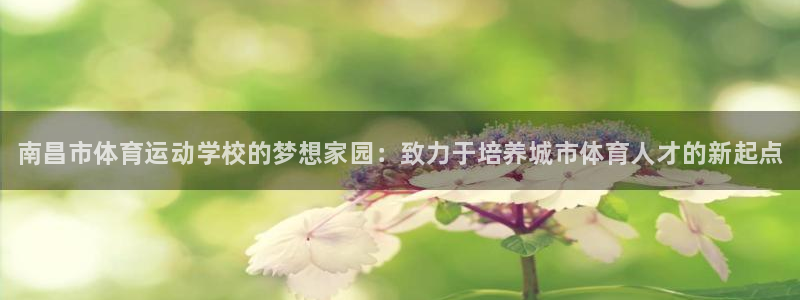 尊龙官网下载是干嘛的公司：南昌市体育运动学校的梦想家园：致力