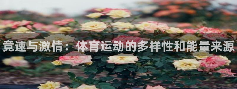 尊龙官网下载平台注册要钱吗安全吗：竞速与激情：体育运
