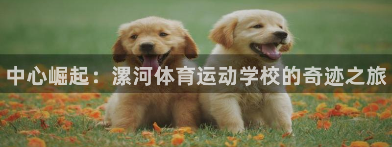 尊龙官网下载开户：中心崛起：漯河体育运动学校的奇迹之