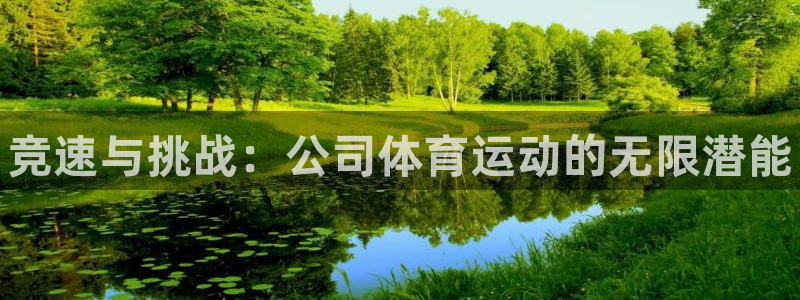 尊龙官网下载平台注册流程视频：竞速与挑战：公司体育运