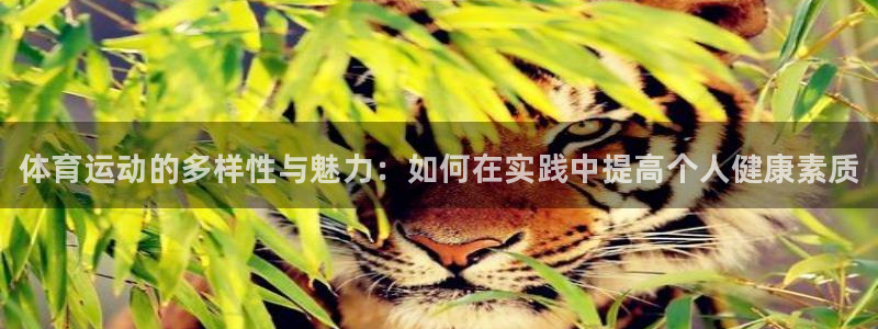尊龙官网下载软件：体育运动的多样性与魅力：如何在实践