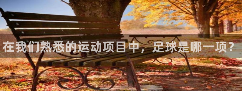尊龙官方集团官网：在我们熟悉的运动项目中，足球是哪一