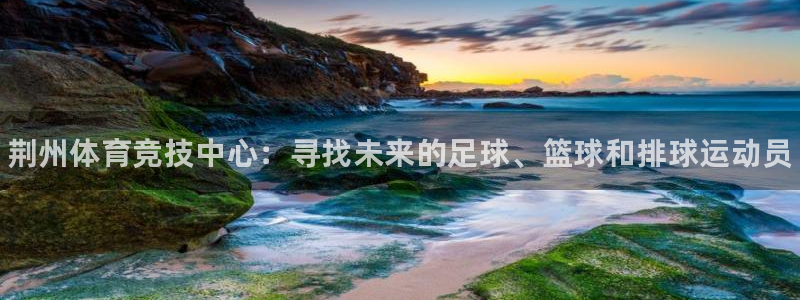 尊龙官网下载平台是正规平台吗知乎：荆州体育竞技中心：寻找未来