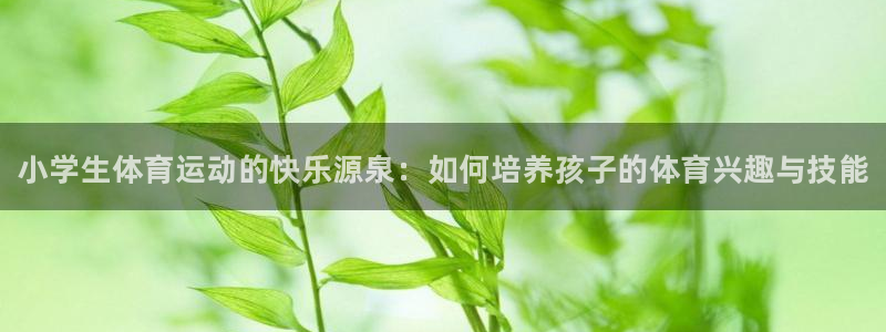 尊龙官方正版app神州：小学生体育运动的快乐源泉：如