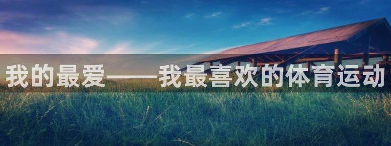 尊龙官网下载招商电话：我的最爱——我最喜欢的体育运动