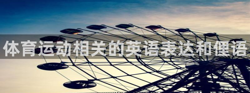 尊龙官网下载是干嘛的公司：体育运动相关的英语表达和俚语