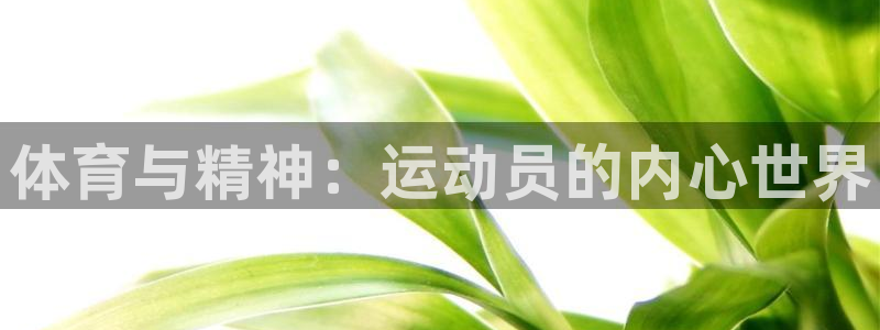 尊龙官网下载招商电话号码查询是多少：体育与精神：运动