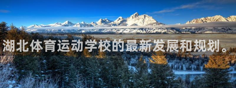 尊龙官方正版app娱乐：湖北体育运动学校的最新发展和