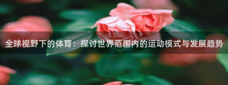 尊龙官方正版app神州：全球视野下的体育：探讨世界范
