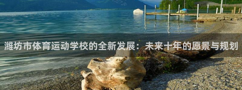 尊龙官方正版app代理：潍坊市体育运动学校的全新发展：未来十