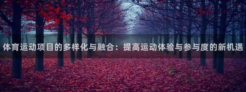 海南尊龙官网下载：体育运动项目的多样化与融合：提高运
