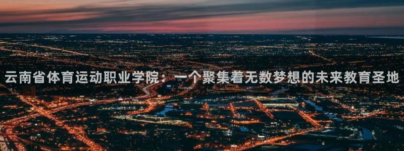 尊龙官方正版app集团：云南省体育运动职业学院：一个