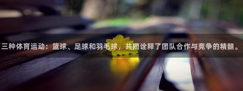 尊龙官网下载平台注册要钱吗：三种体育运动：篮球、足球