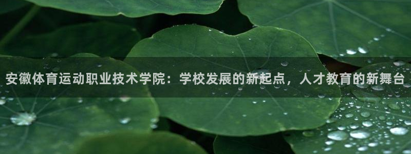 尊龙官网下载招商电话：安徽体育运动职业技术学院：学校