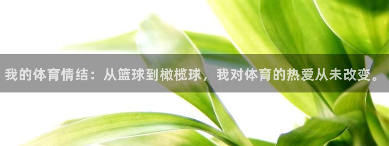 尊龙官网下载平台注册流程视频：我的体育情结：从篮球到