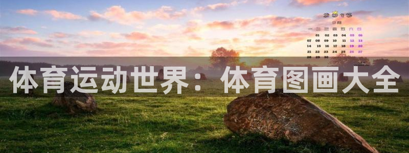 尊龙官网下载软件：体育运动世界：体育图画大全