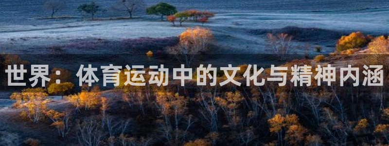 尊龙官方正版app娱乐网站：世界：体育运动中的文化与精神内涵
