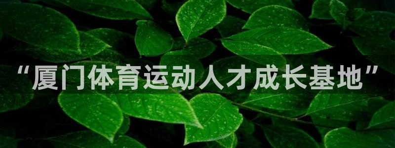 尊龙官方集团官网：“厦门体育运动人才成长基地”