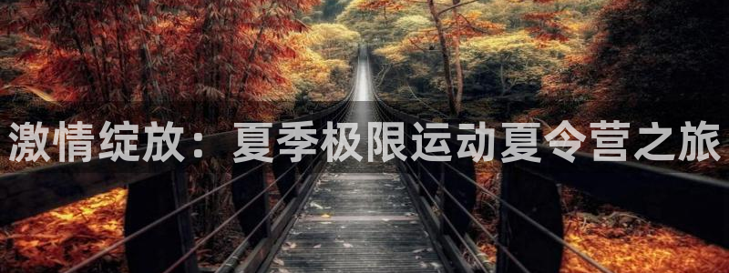 尊龙官网下载开户：激情绽放：夏季极限运动夏令营之旅