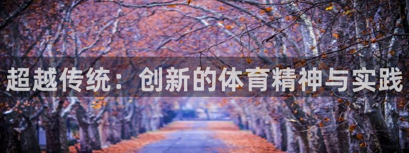 尊龙官网下载平台是正规平台吗安全吗：超越传统：创新的体育精神