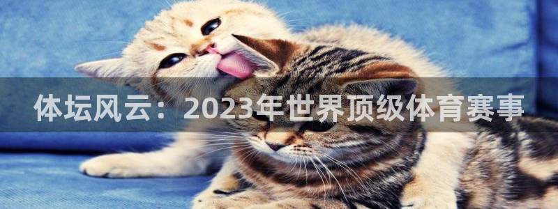 尊龙官网下载平台：体坛风云：2023年世界顶级体育赛事