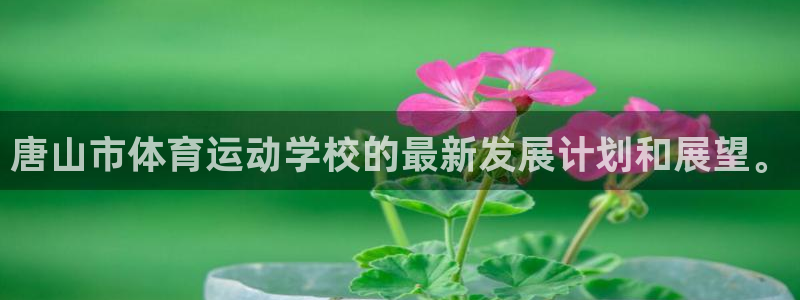 尊龙官网下载平台注册要钱吗：唐山市体育运动学校的最新发展计划