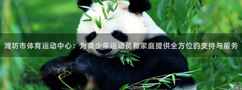 尊龙官网下载注册：潍坊市体育运动中心：为青少年运动员和家庭提