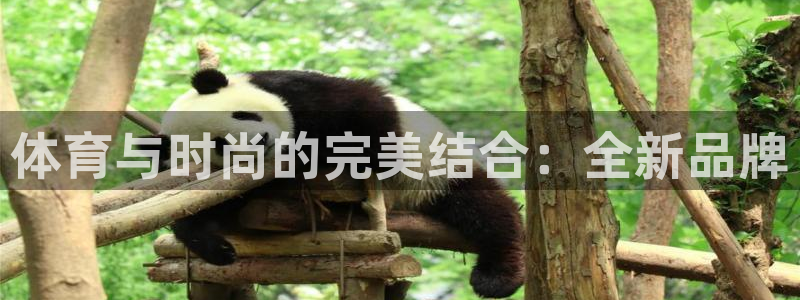 尊龙官网下载招商电话号码是多少号：体育与时尚的完美结