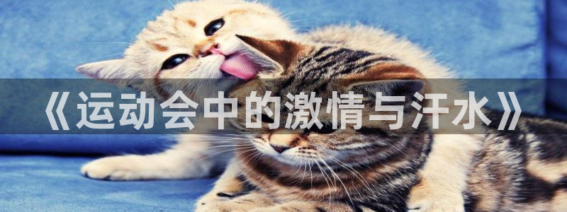 海南尊龙官网下载发展怎么样：《运动会中的激情与汗水》